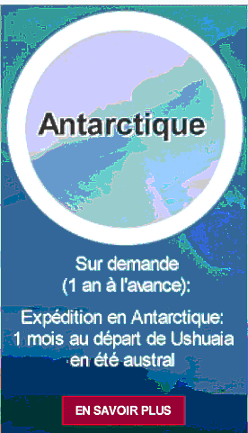 Croisières en Antarctique